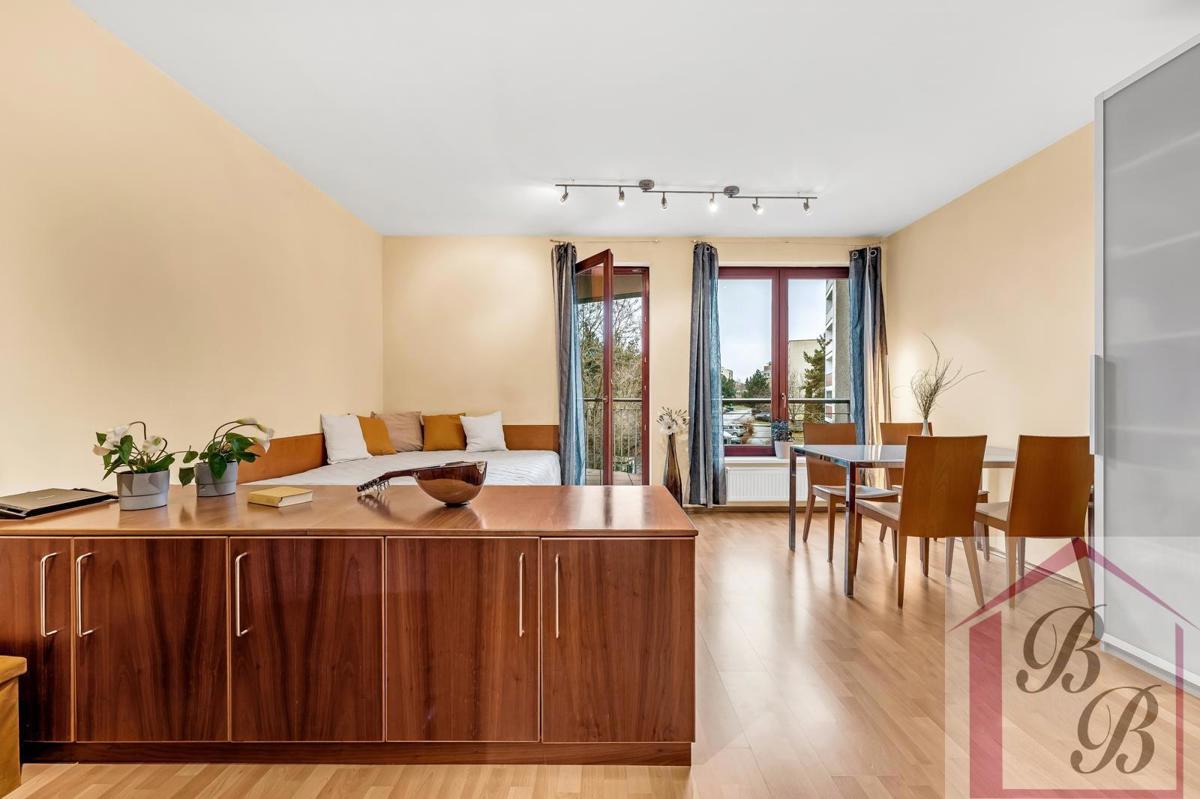 Pronájem bytu · 1+kk