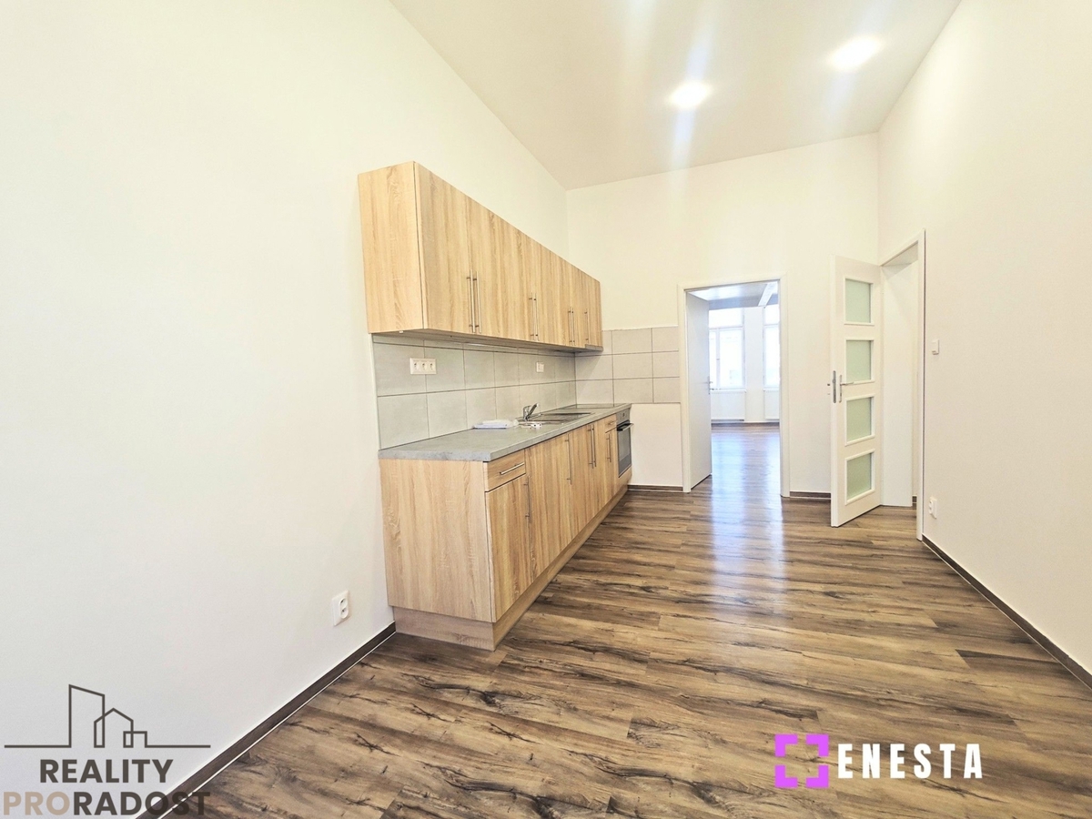 Pronájem bytu · 1+1 · 46 m²