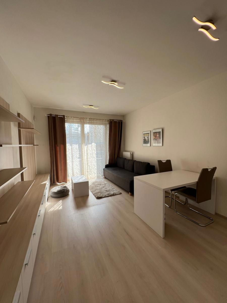 Pronájem bytu · 1+kk · 30 m²