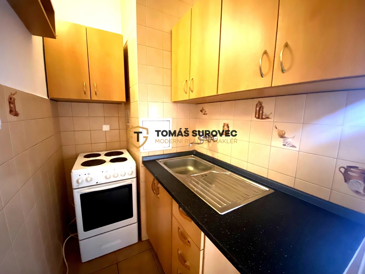 Pronájem bytu · 1+kk · 29 m²