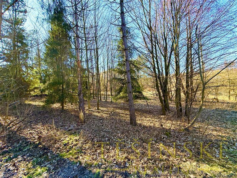 Fotografie 1 - Prodej pozemku · Pole · 2 300 m²