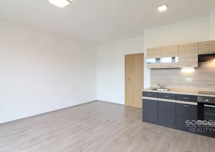 Căn hộ cho thuê · 1+kk · 40 m²