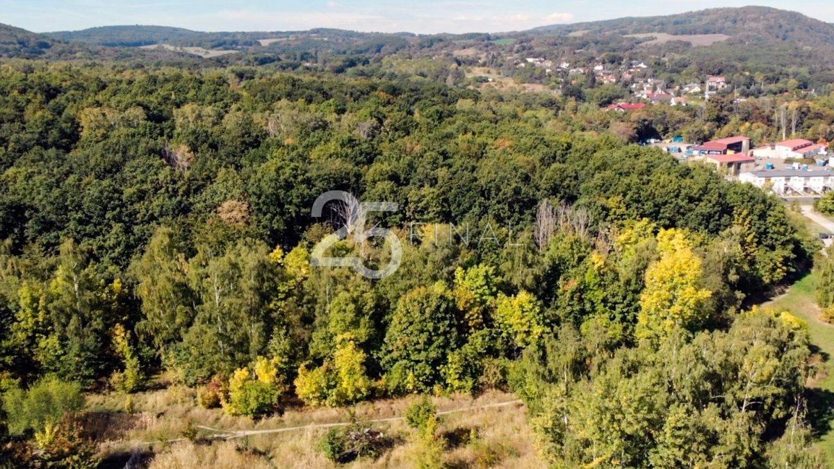 Fotografie 3 - Prodej pozemku · Komerční · 6 624 m²