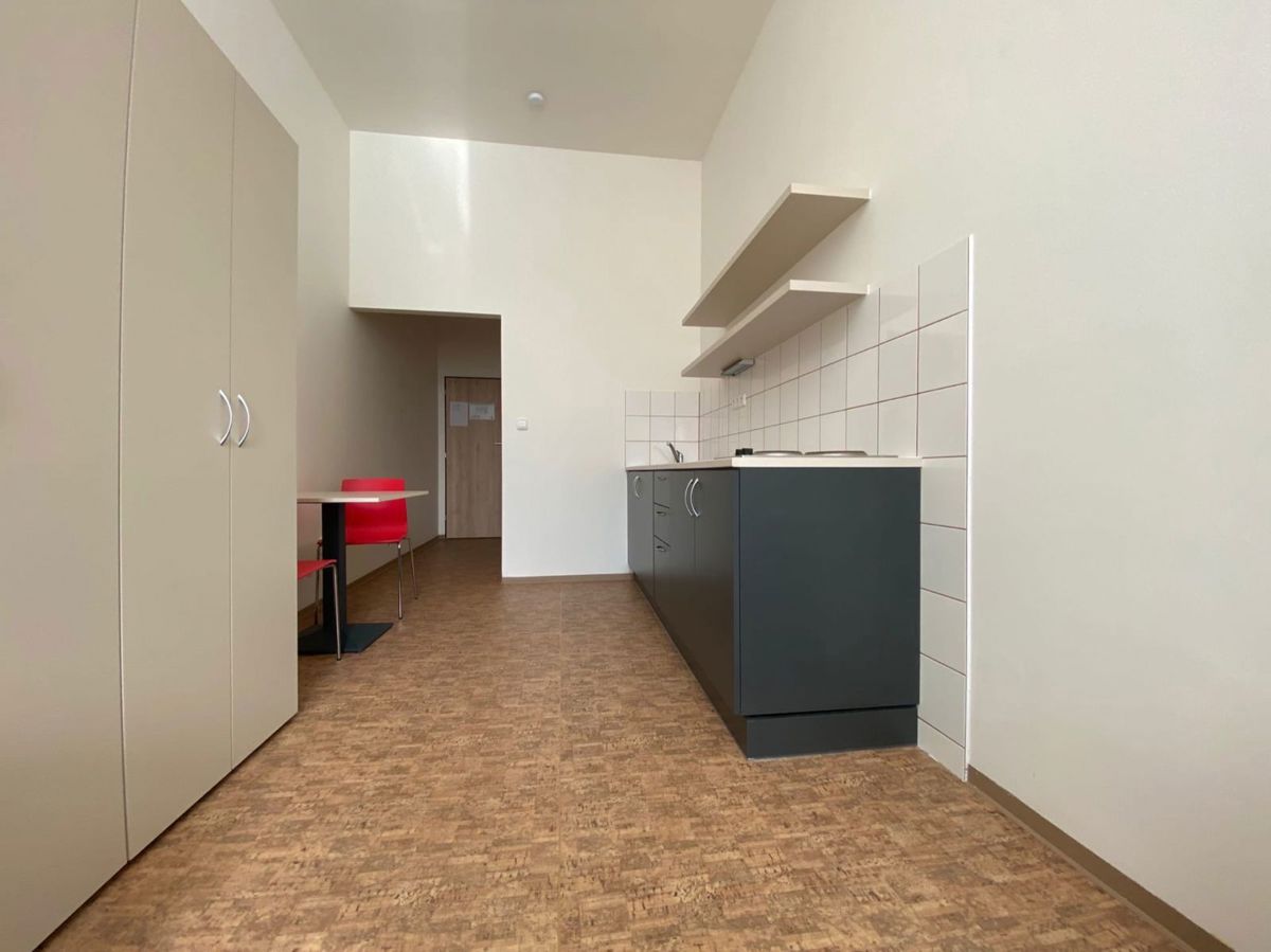 Pronájem bytu · 1+kk · 18 m²