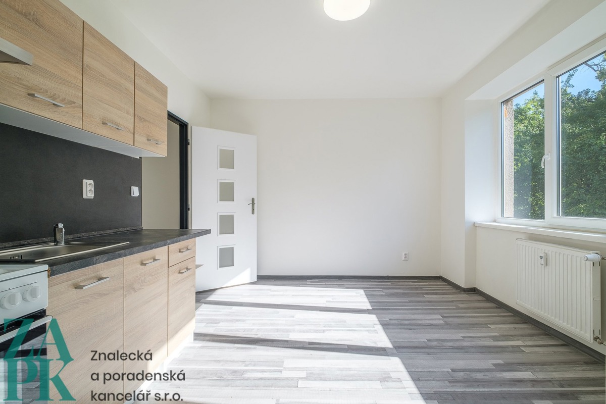 Fotografie 4 - Pronájem bytu · 1+1 · 38 m²