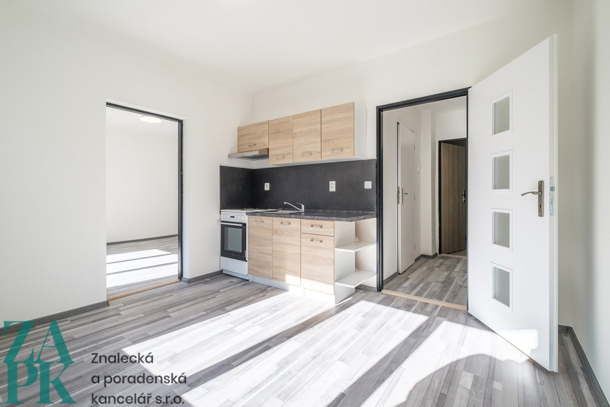 Fotografie 2 - Pronájem bytu · 1+1 · 38 m²