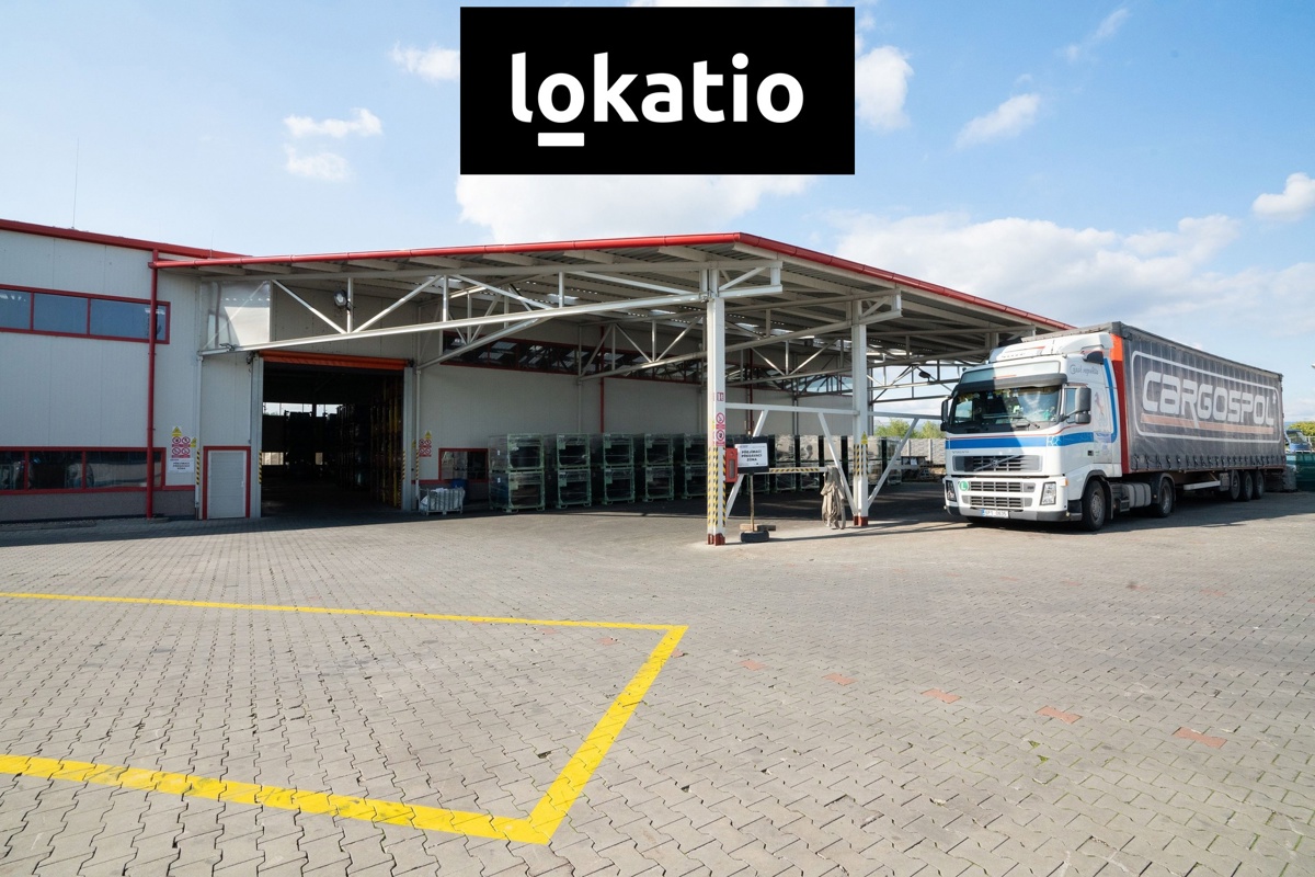 Fotografie 4 - Pronájem komerční nemovitosti · Sklad · 4 155 m²