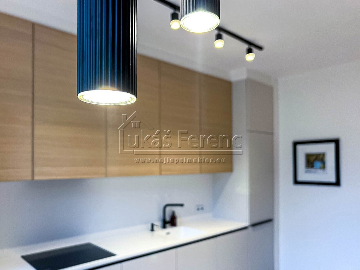 Pronájem bytu · 2+kk · 63 m²