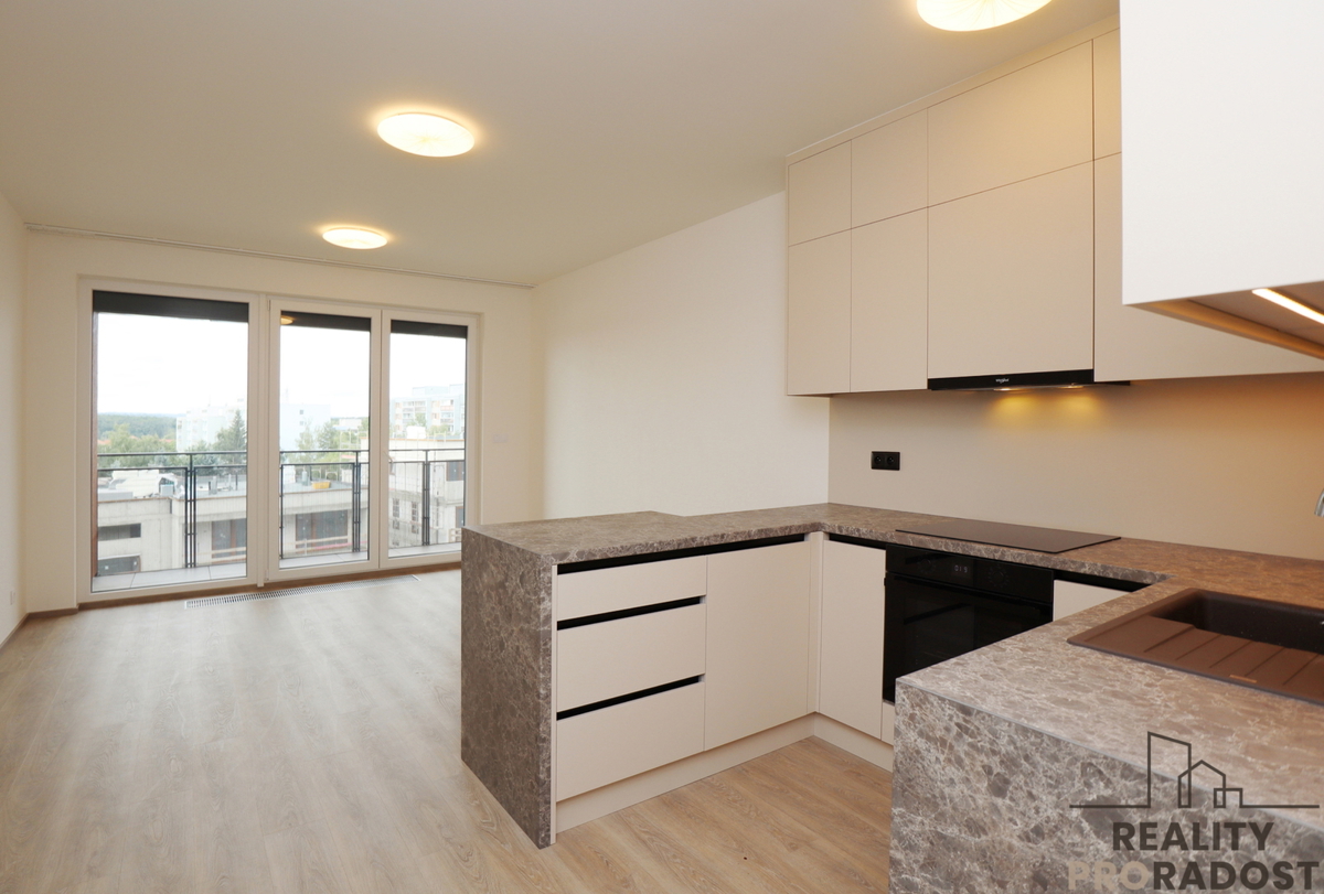 Pronájem bytu · 1+kk · 38 m²