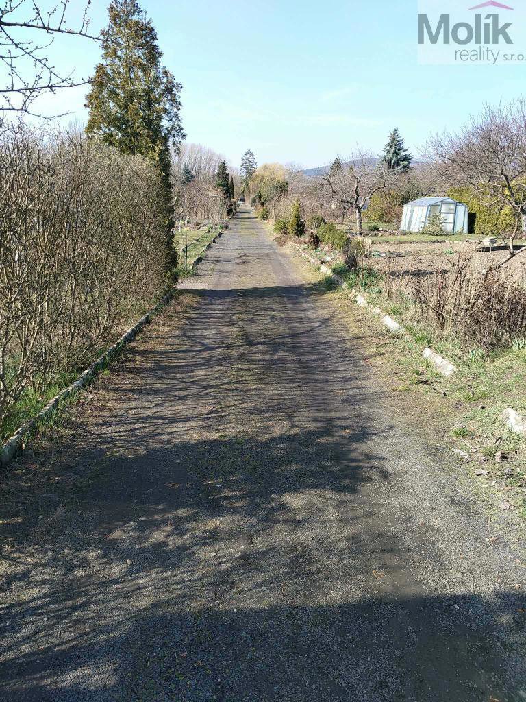 Photo 1/14