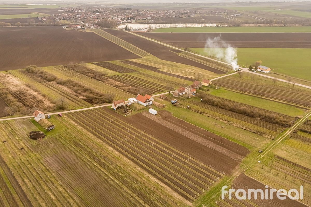 Fotografie 3 - Prodej pozemku · Vinice