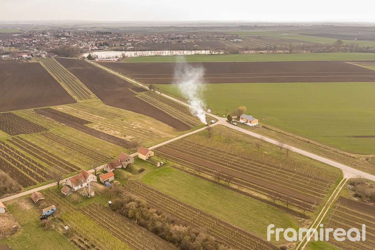 Fotografie 4 - Prodej pozemku · Vinice