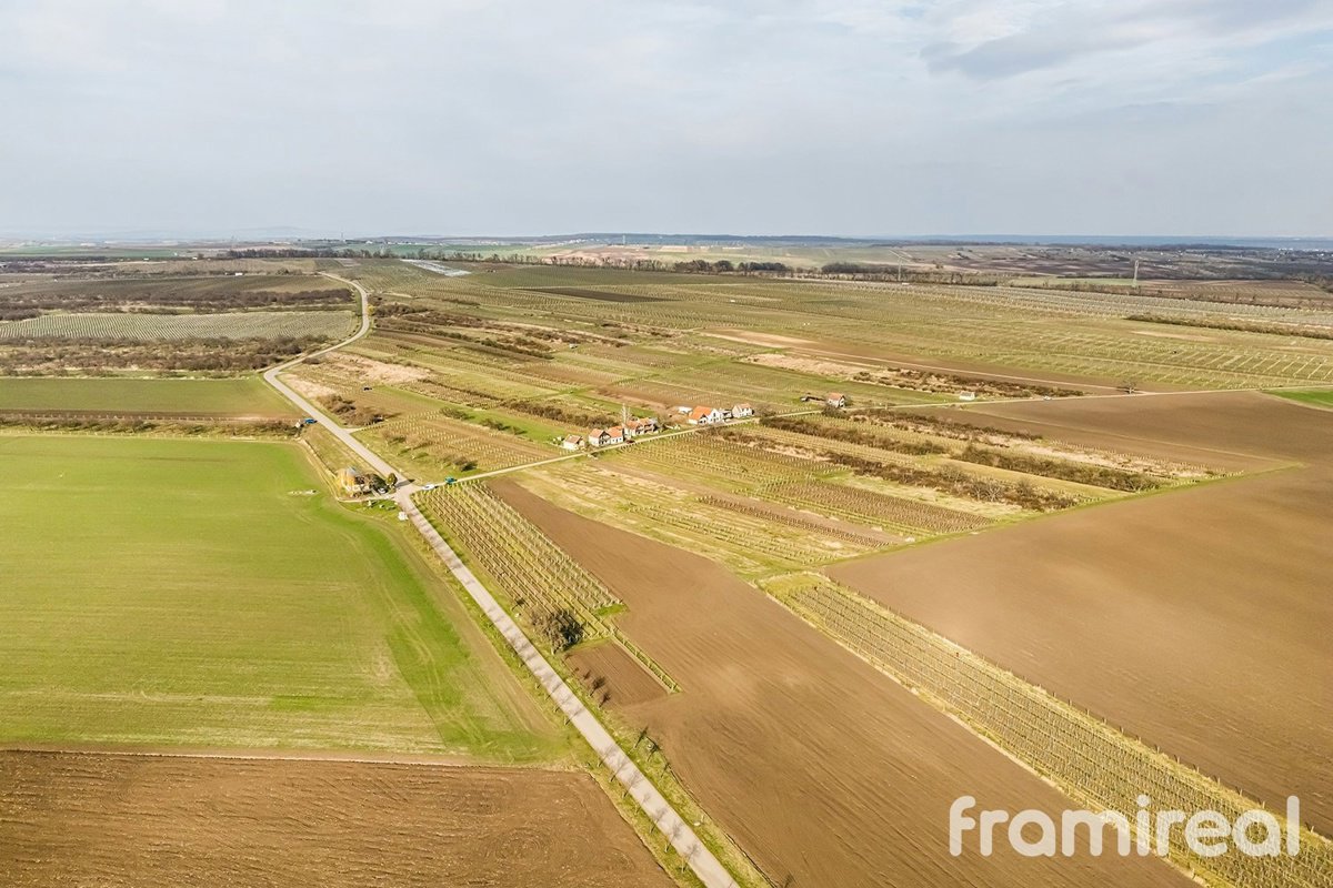 Fotografie 2/15