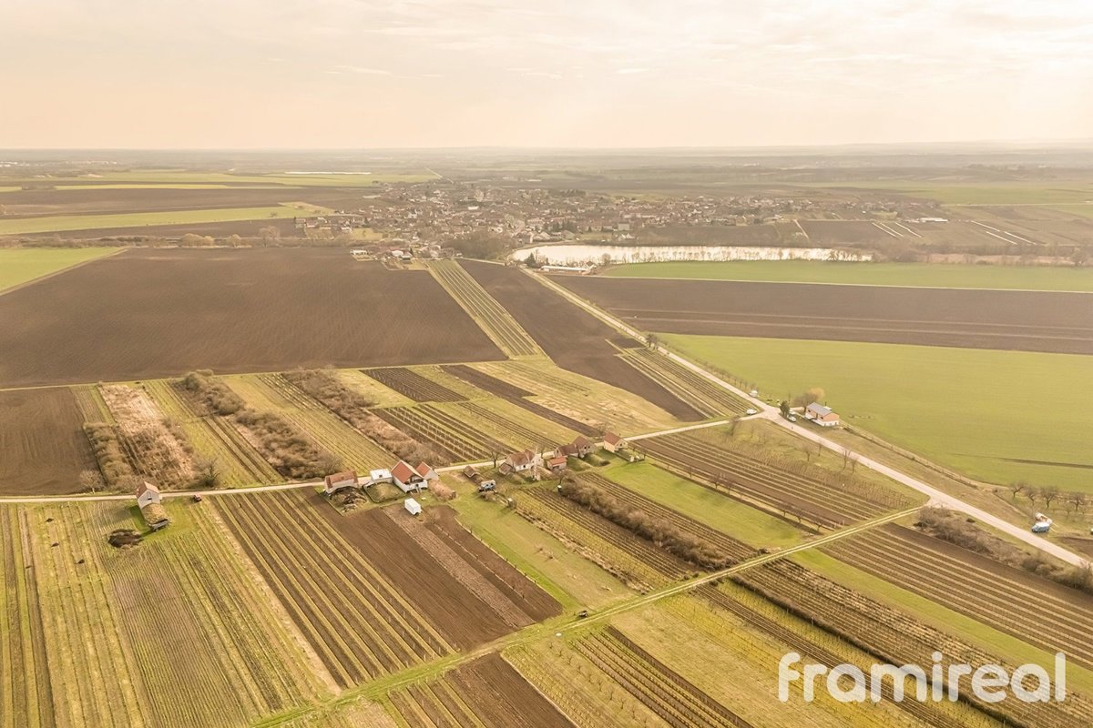Fotografie 8/15