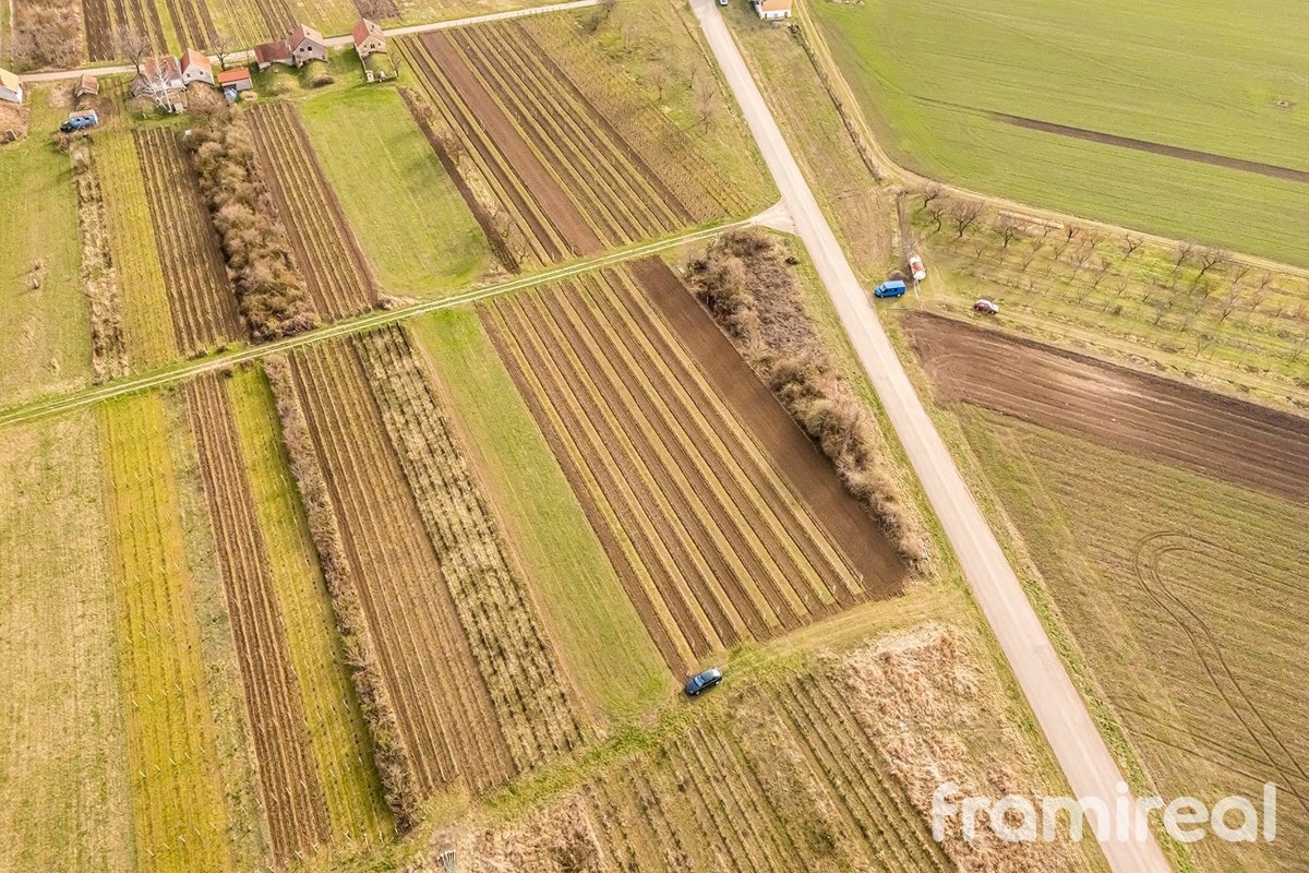 Fotografie 11/15