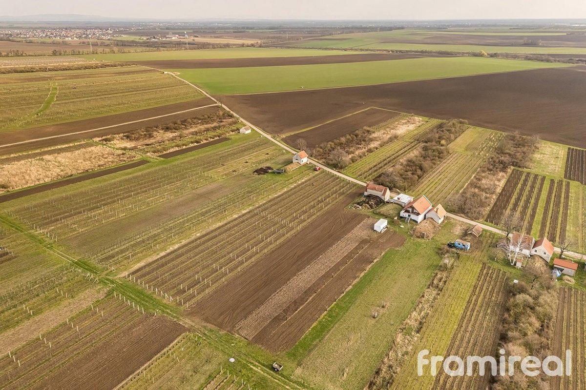 Fotografie 12/15