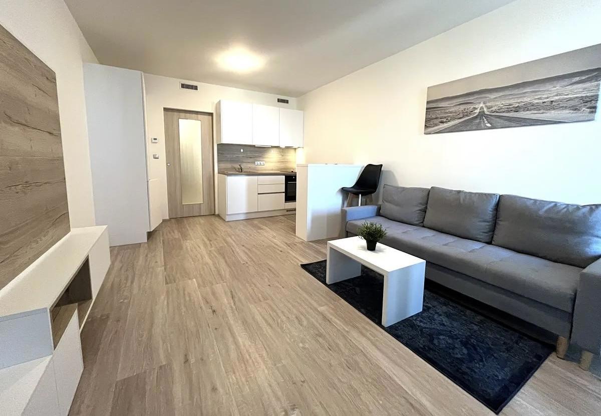 Pronájem bytu · 1+kk · 33 m²