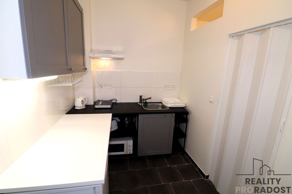 Pronájem bytu · 1+1 · 30 m²