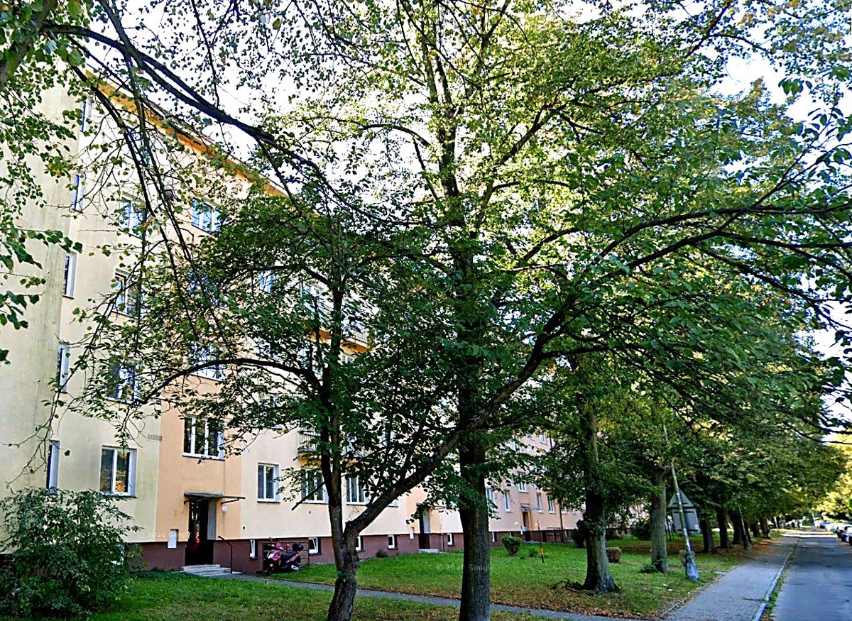 Apartment for sale · 2+1 · 53 m²