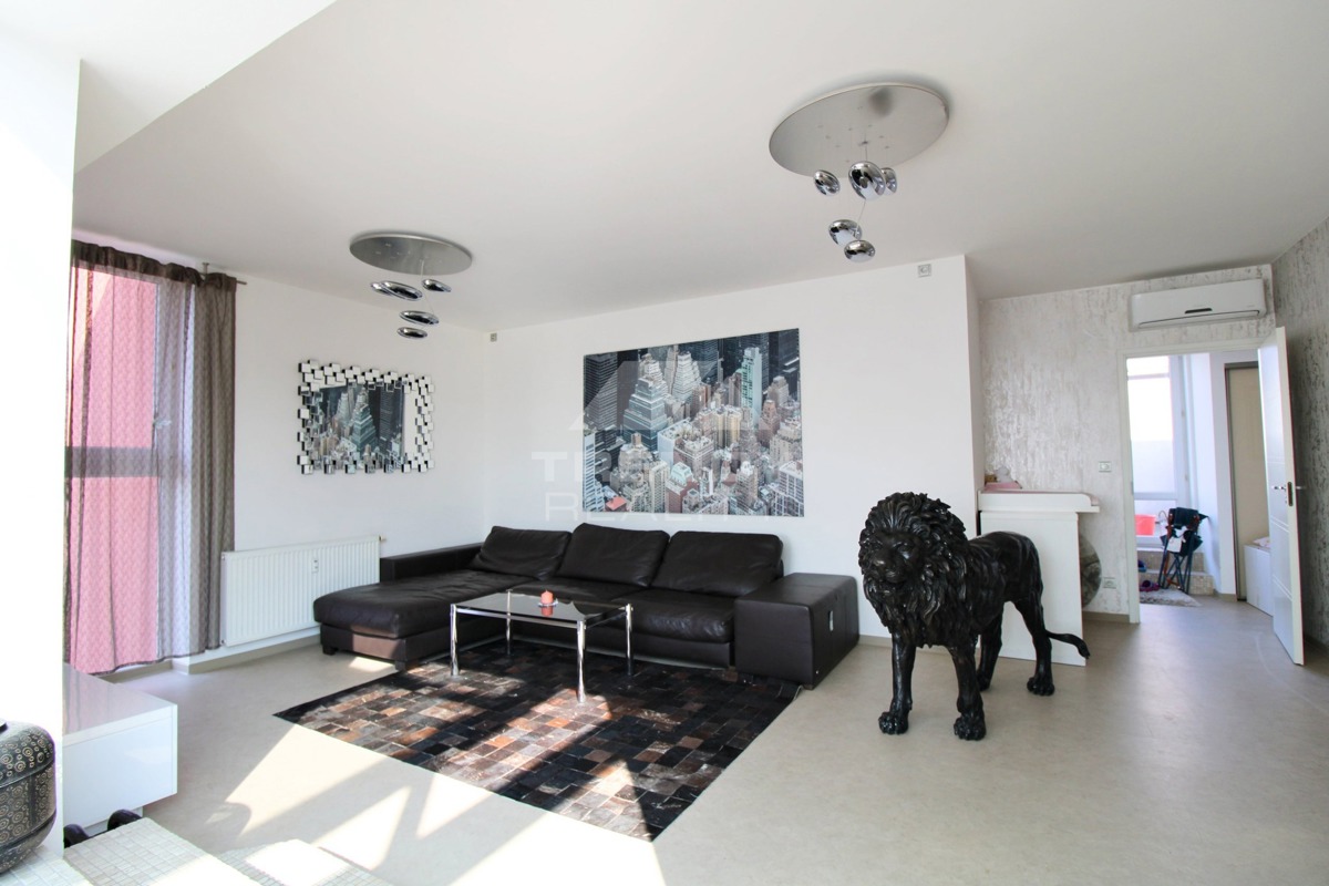 Fotografie 1 - Pronájem bytu · 3+kk · 250 m²
