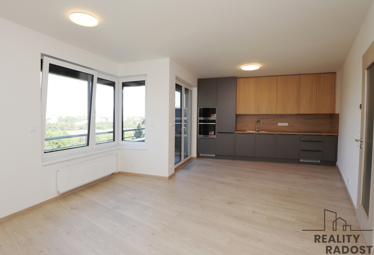 Pronájem bytu · 1+kk · 43 m²