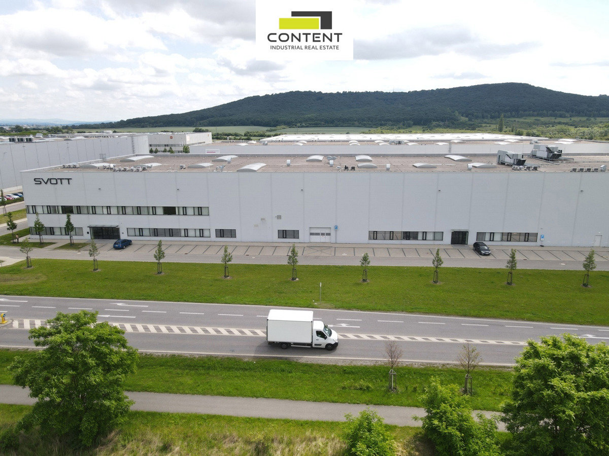 Hình ảnh 13/17