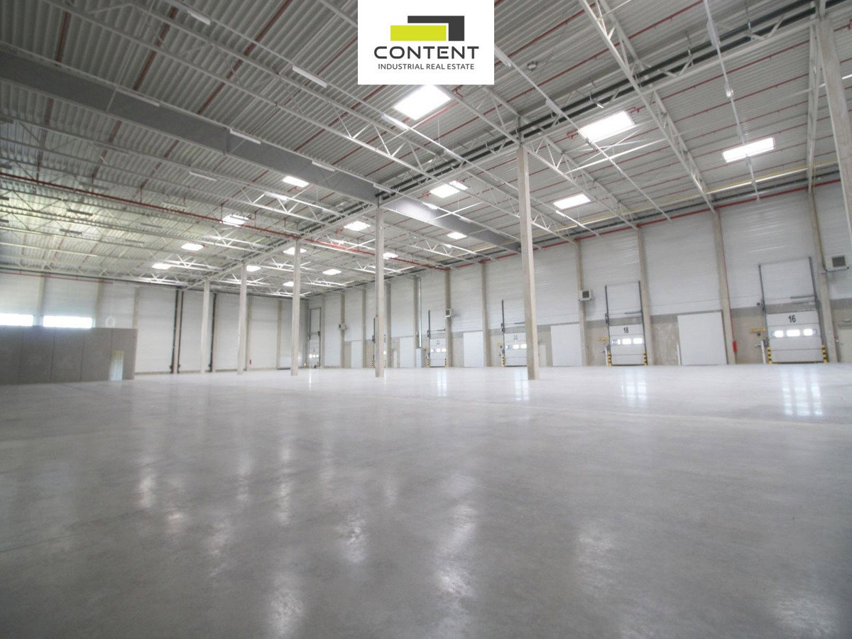 Фото 1/10