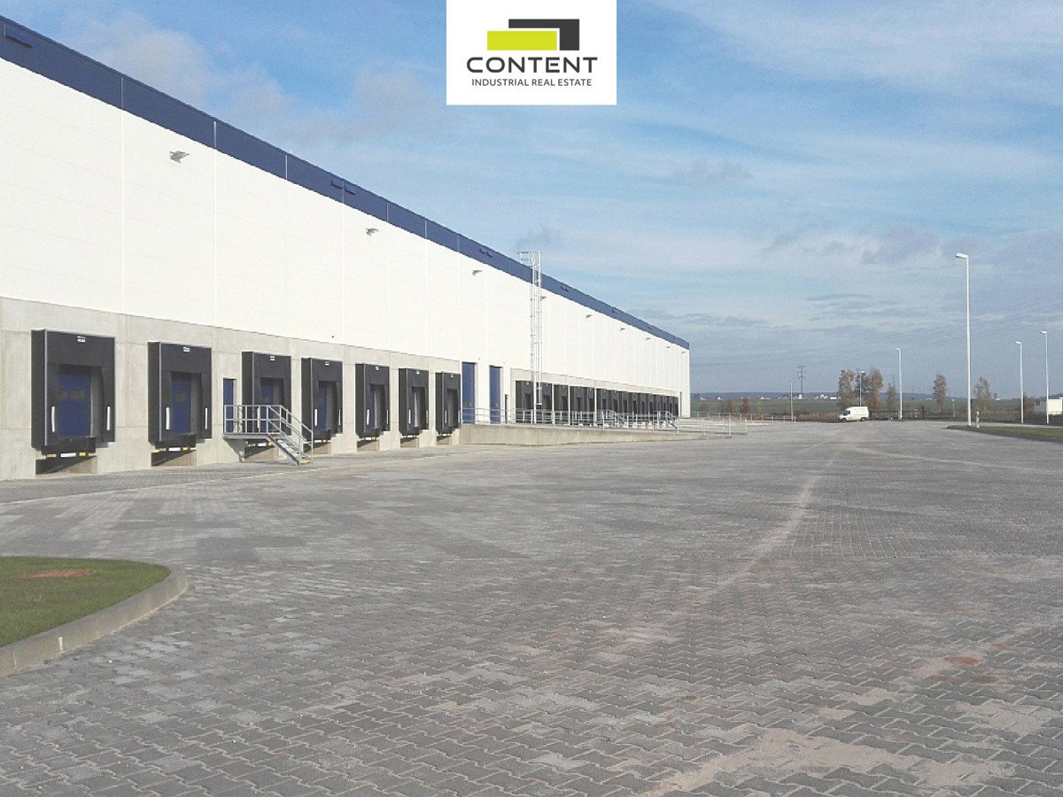 Фото 5/18