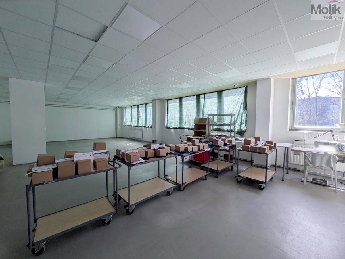 Fotografie 4/23