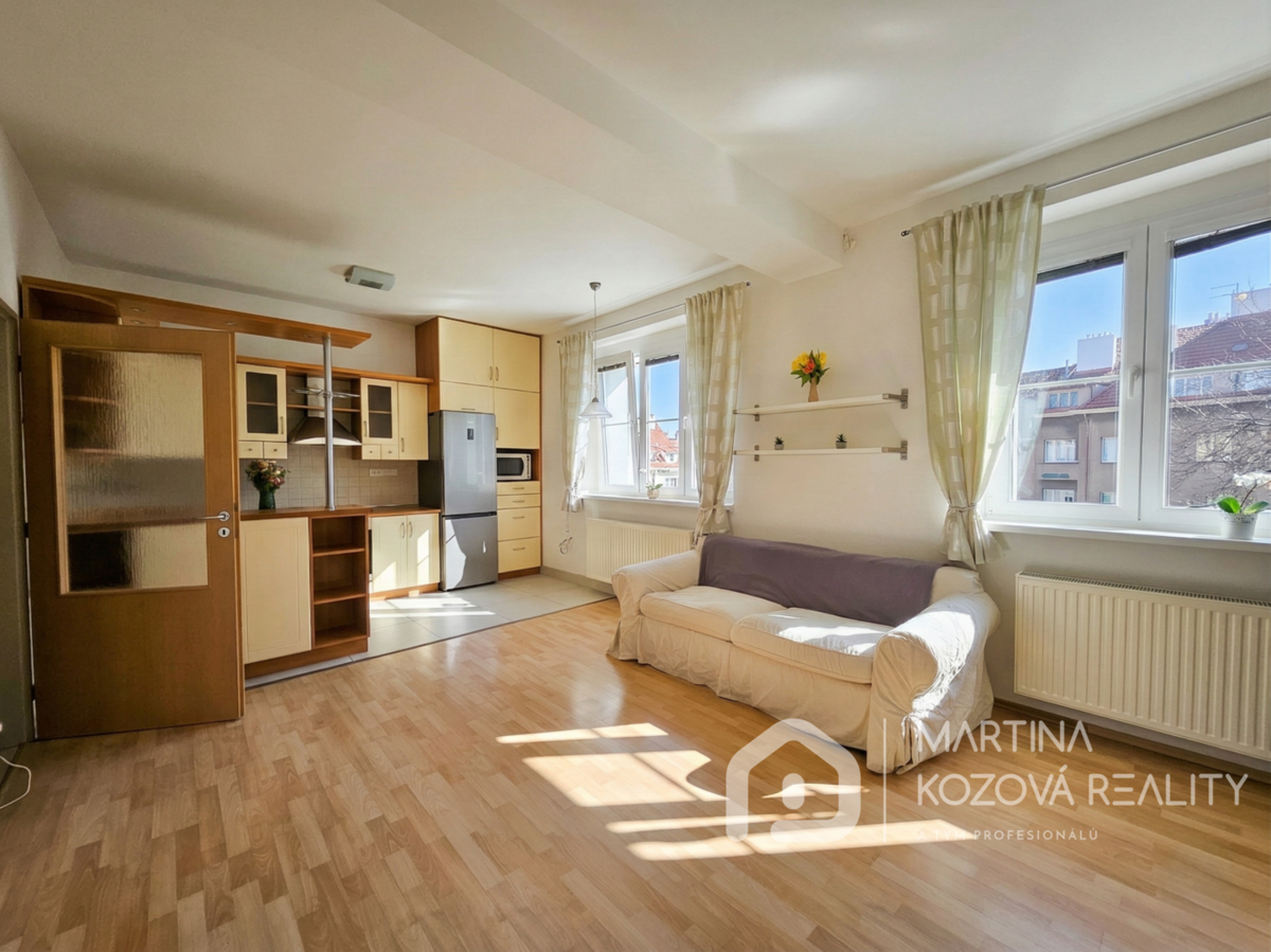 Pronájem bytu · 2+kk · 55 m²