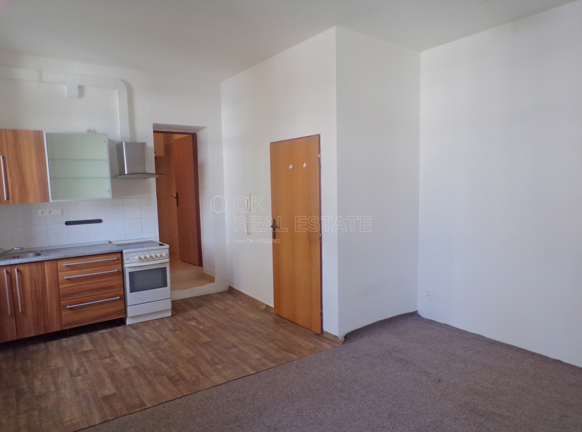 Fotografie 1 - Pronájem bytu · 1+kk · 30 m²