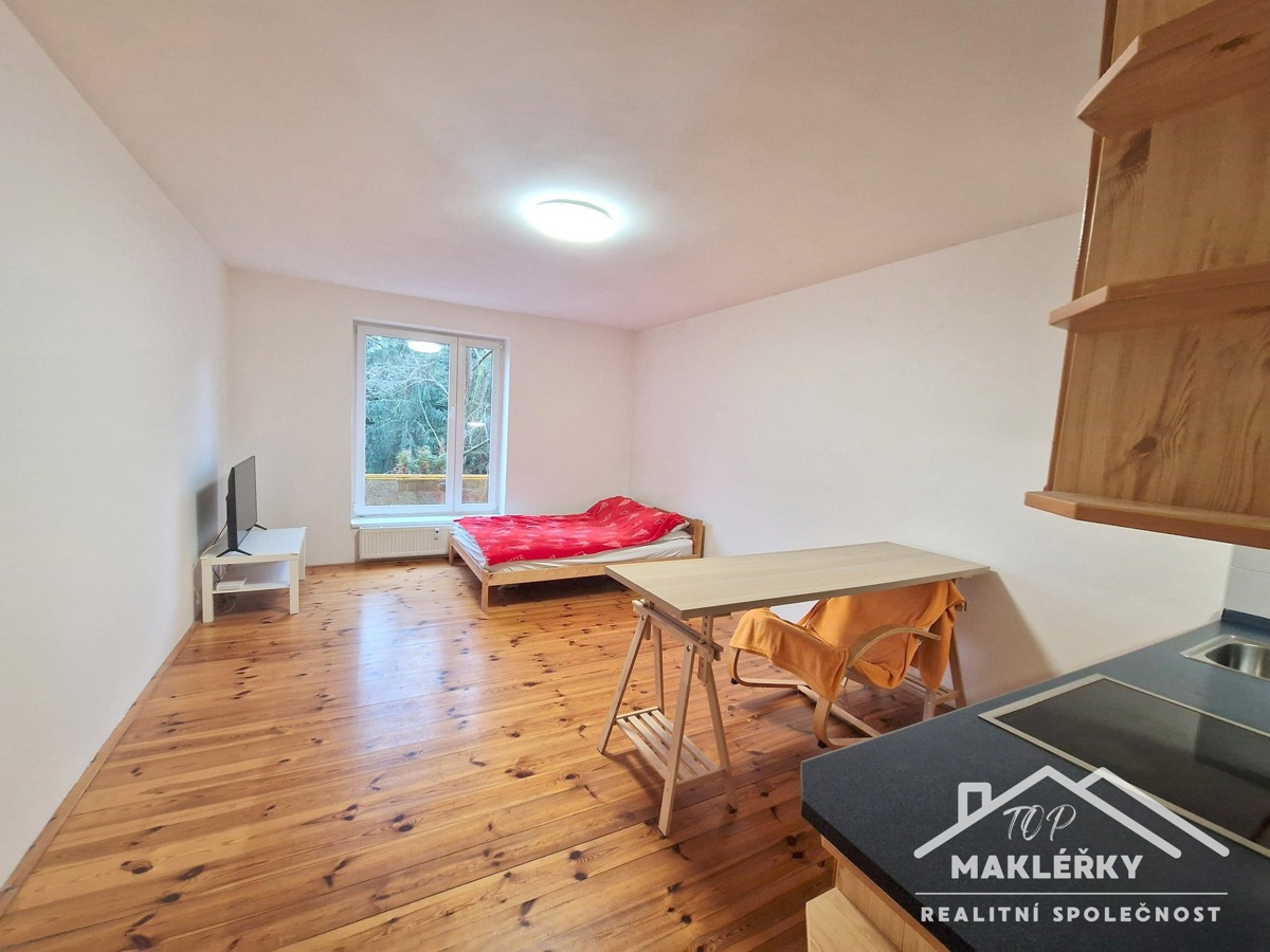 Fotografie 4 - Prodej bytu · 1+kk · 30 m²