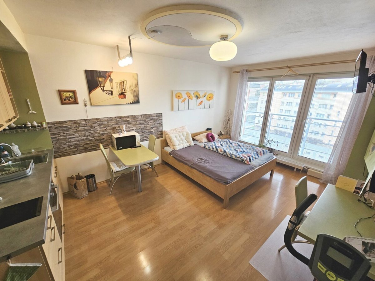 Pronájem bytu · 1+kk · 30 m²