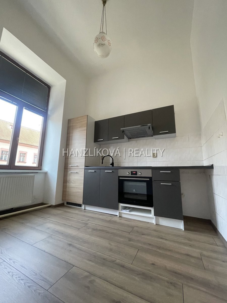 Pronájem bytu · 1+kk · 47 m²