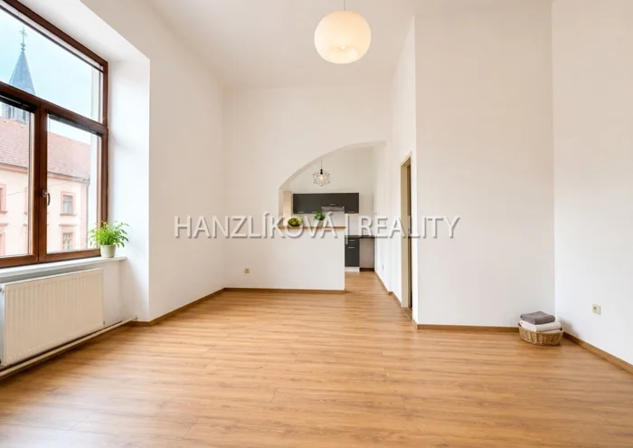 Apartment for rent · 1+kk · 47 m²