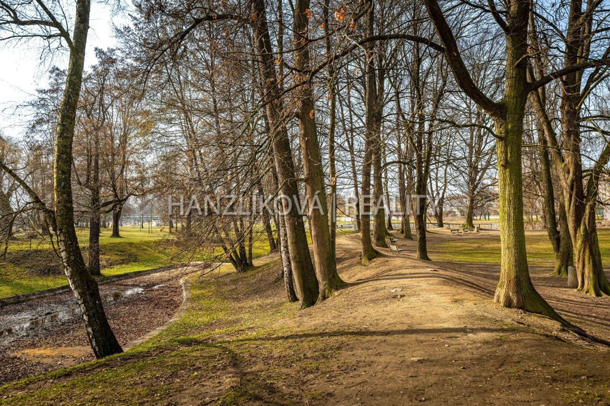 Fotografie 50/59