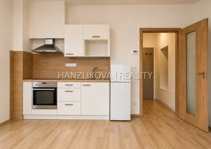 Căn hộ cho thuê · 1+kk · 33 m²