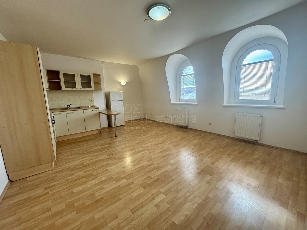 Căn hộ cho thuê · 2+kk · 46 m²
