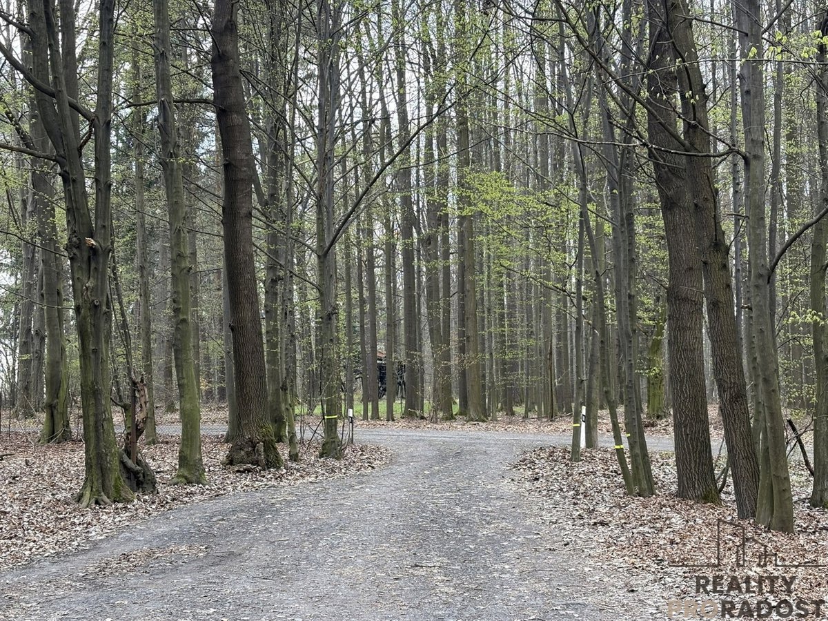 Fotografie 32/34