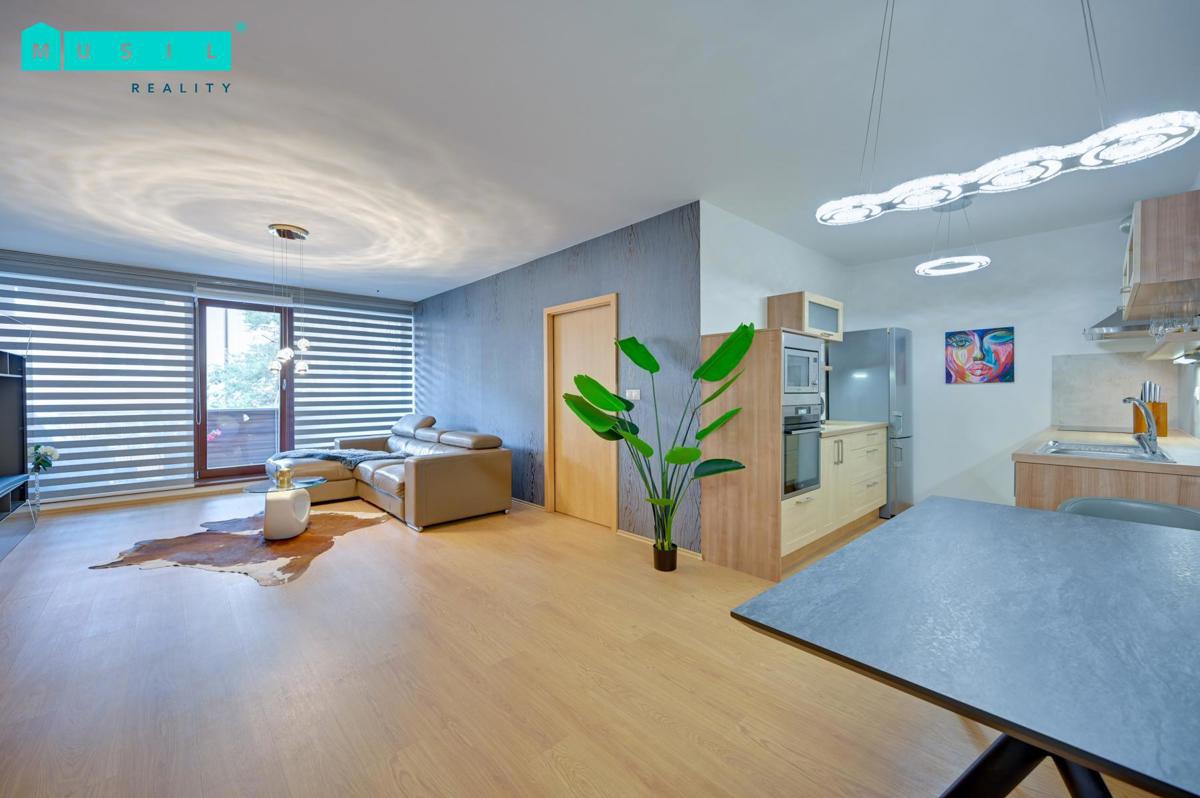 Pronájem bytu · 2+kk · 68 m²