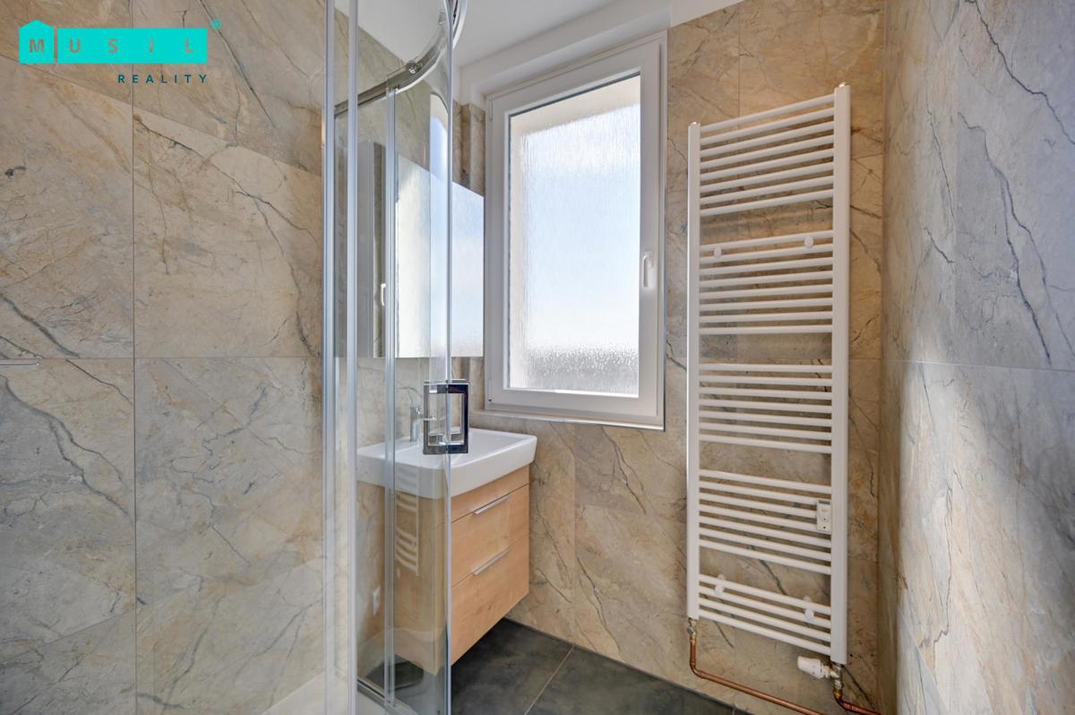 Pronájem bytu · 2+1