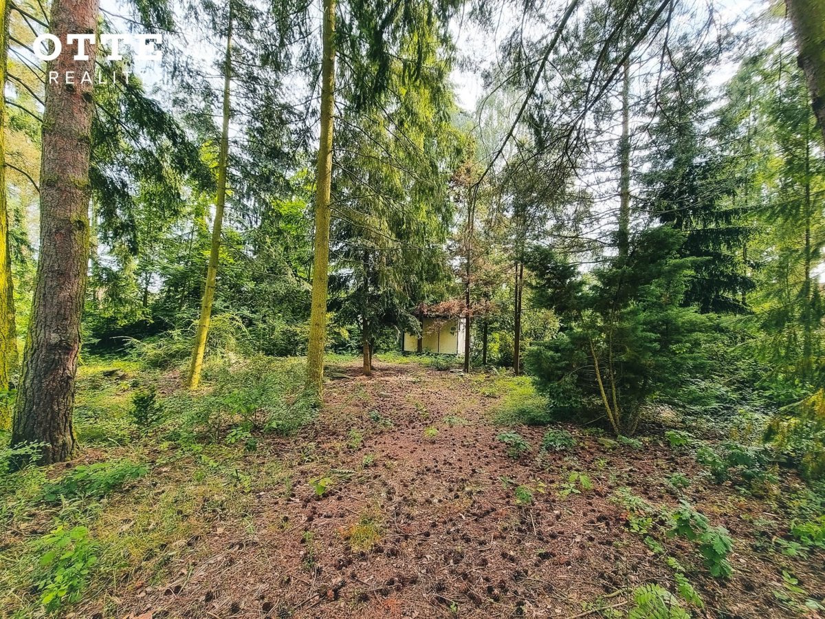 Fotografie 13/30
