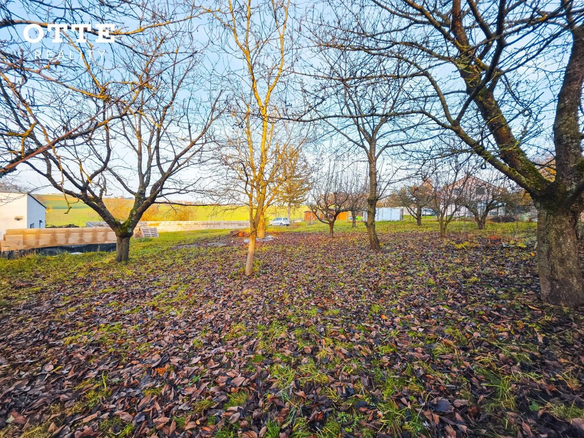 Fotografie 8/30