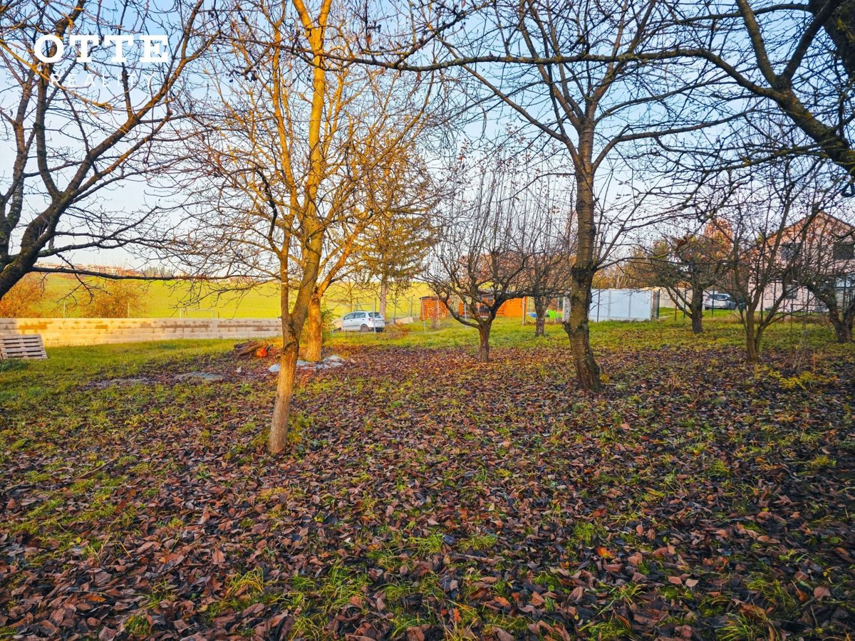 Fotografie 17/30