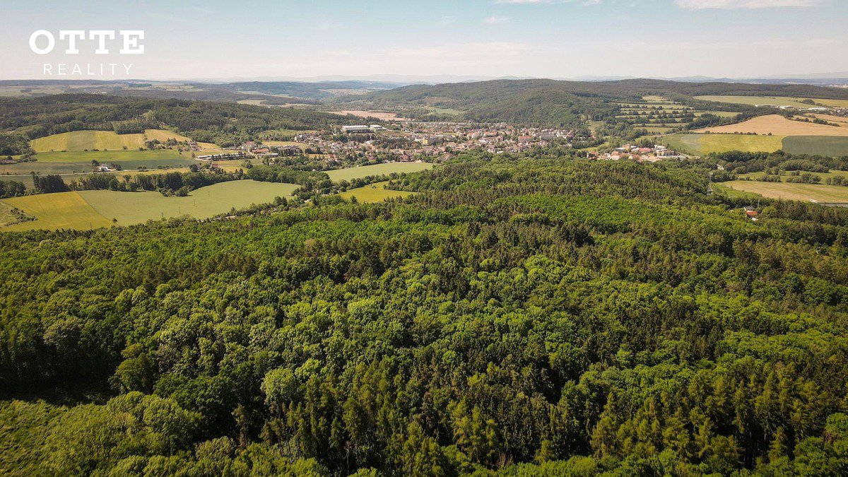 Фото 11/30