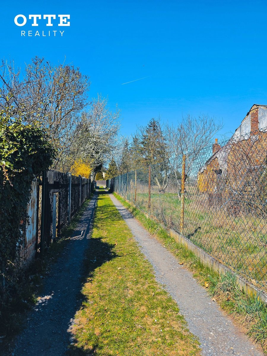 Fotografie 14/25