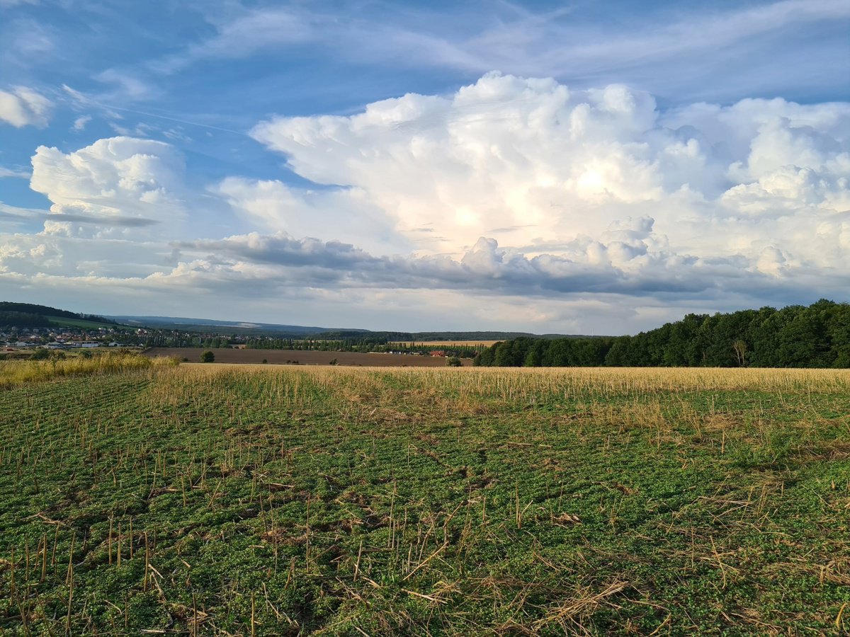 Photo 8/29