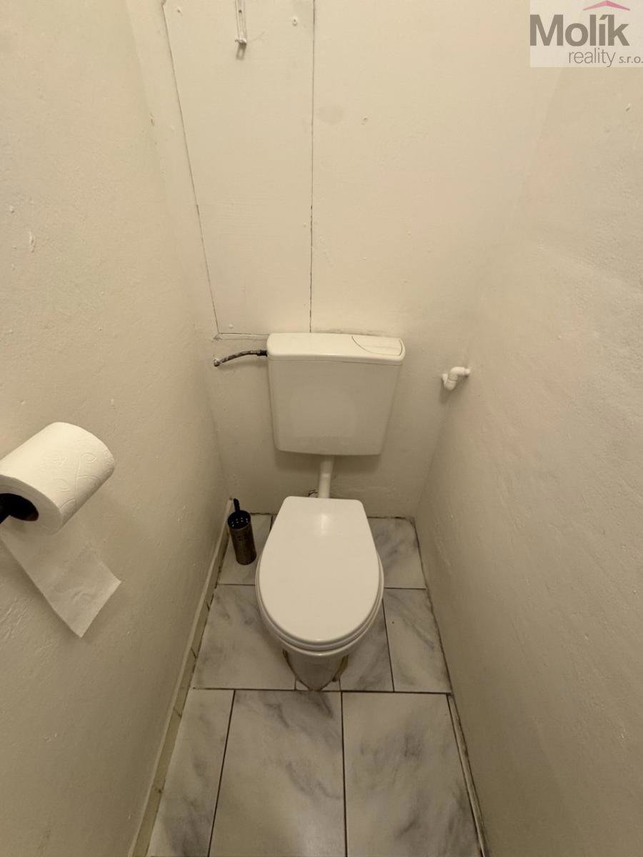 Hình ảnh 10/10