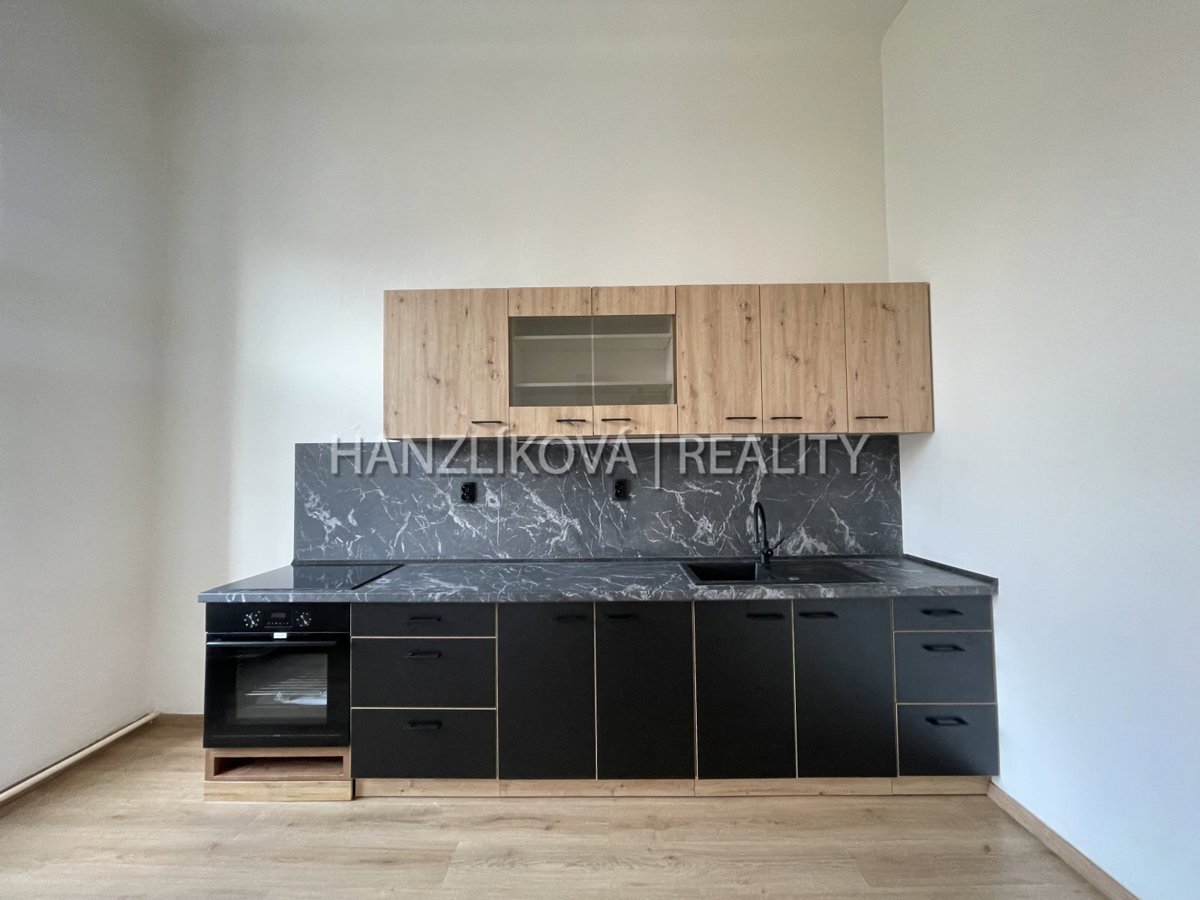 Fotografie 3 - Pronájem bytu · 1+1 · 49 m²