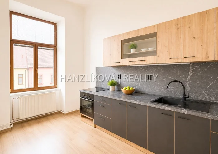 Pronájem bytu · 1+1 · 49 m²